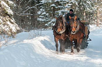 Tegernseer Impressionen Copyright Gerlind Schiele Photography Tegernsee +49 (0) 170 - 908 85 85